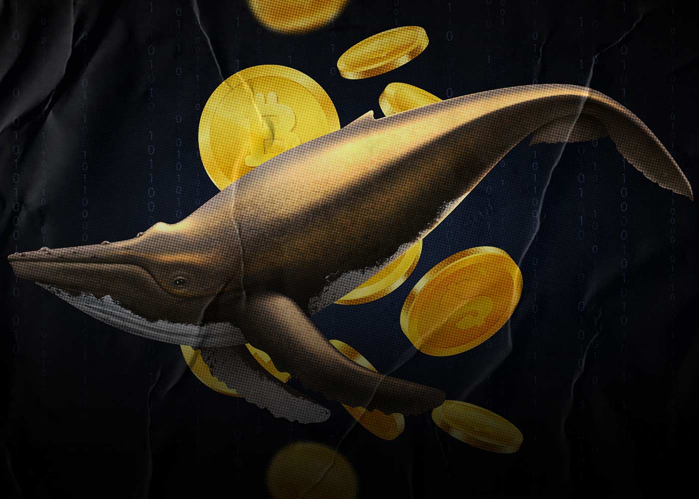 There Is A Decrease In The Number Of Bitcoin Whales The Lowest Number Since 2019