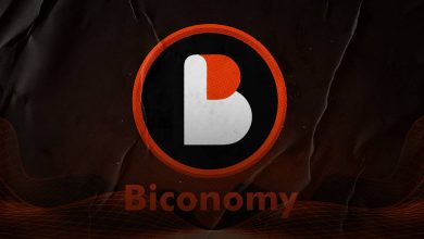 What is Biconomy Token and How Does it Work?