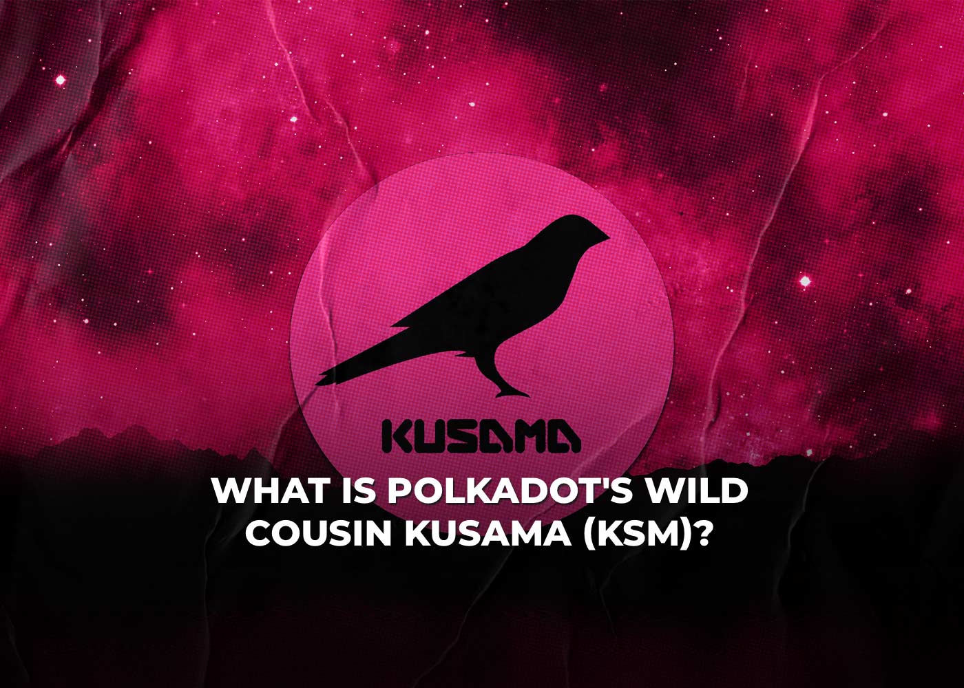 What is Polkadot's Wild Cousin Kusama (KSM)?