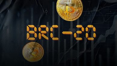 BRC-20 Protocol Takes Bitcoin to New Heights