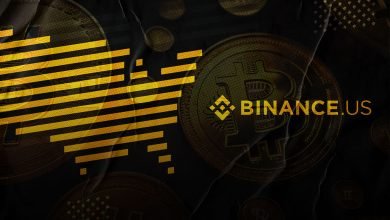 Binance.US Rakes in $410 Million in Revenue Since 2019 Amidst Regulatory Scrutiny